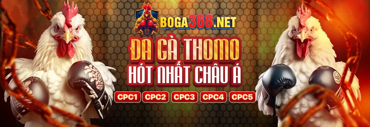 Đá gà trực tiếp sôi động tại f168 bet